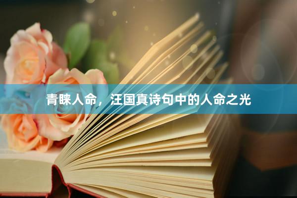 青睐人命，汪国真诗句中的人命之光