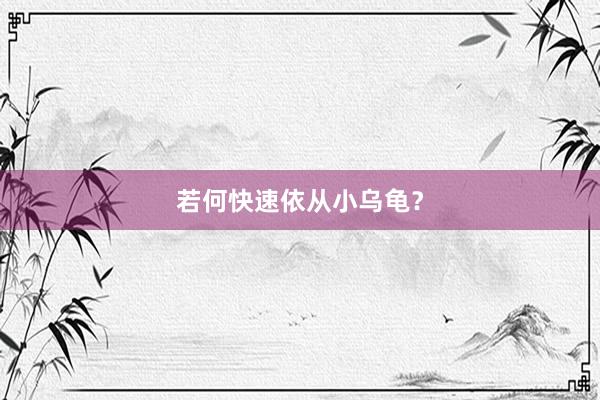 若何快速依从小乌龟？