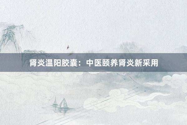 肾炎温阳胶囊：中医颐养肾炎新采用