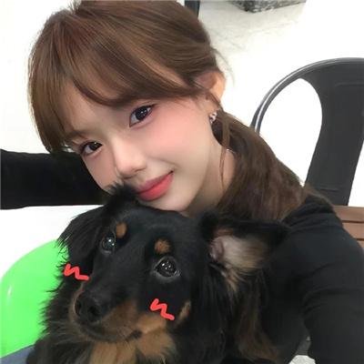 野马齐格和爱丽丝国语